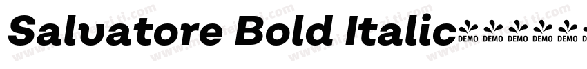 Salvatore Bold Italic字体转换